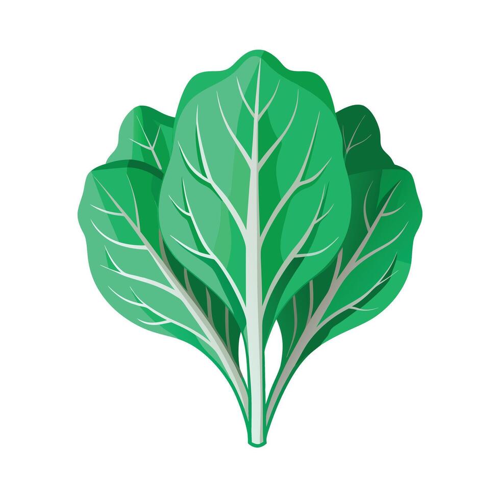 Realistic Beautiful Leaves Illustration vector