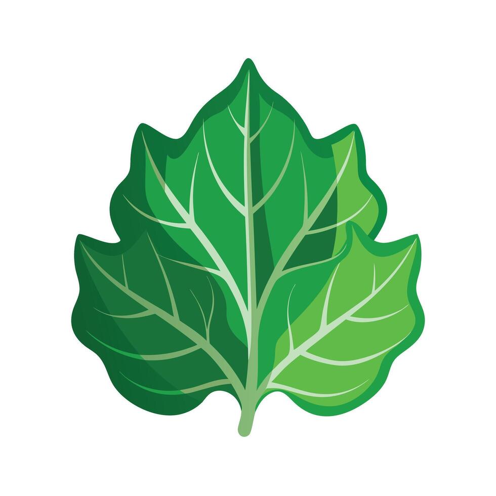 Realistic Beautiful Leaves Illustration vector
