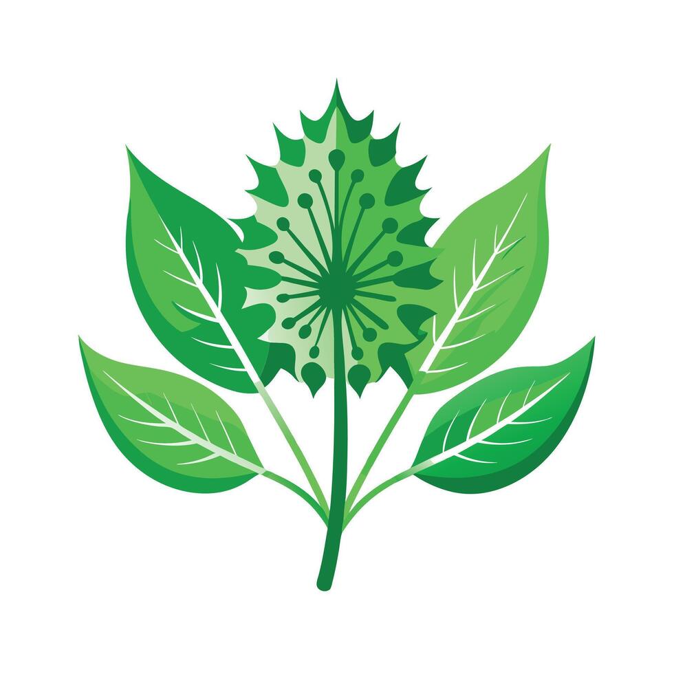 Realistic Beautiful Leaves Illustration vector