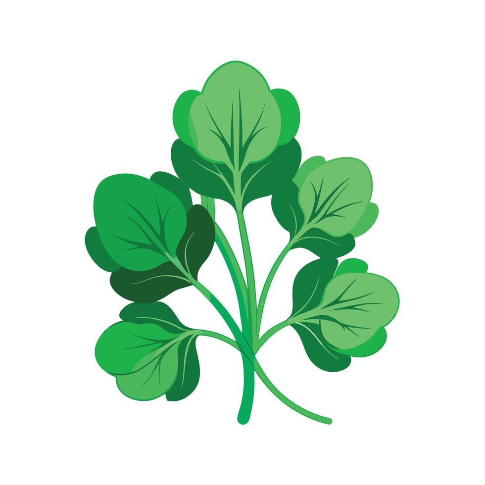 Realistic Beautiful Leaves Illustration vector