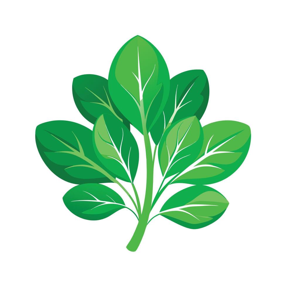Realistic Beautiful Leaves Illustration vector