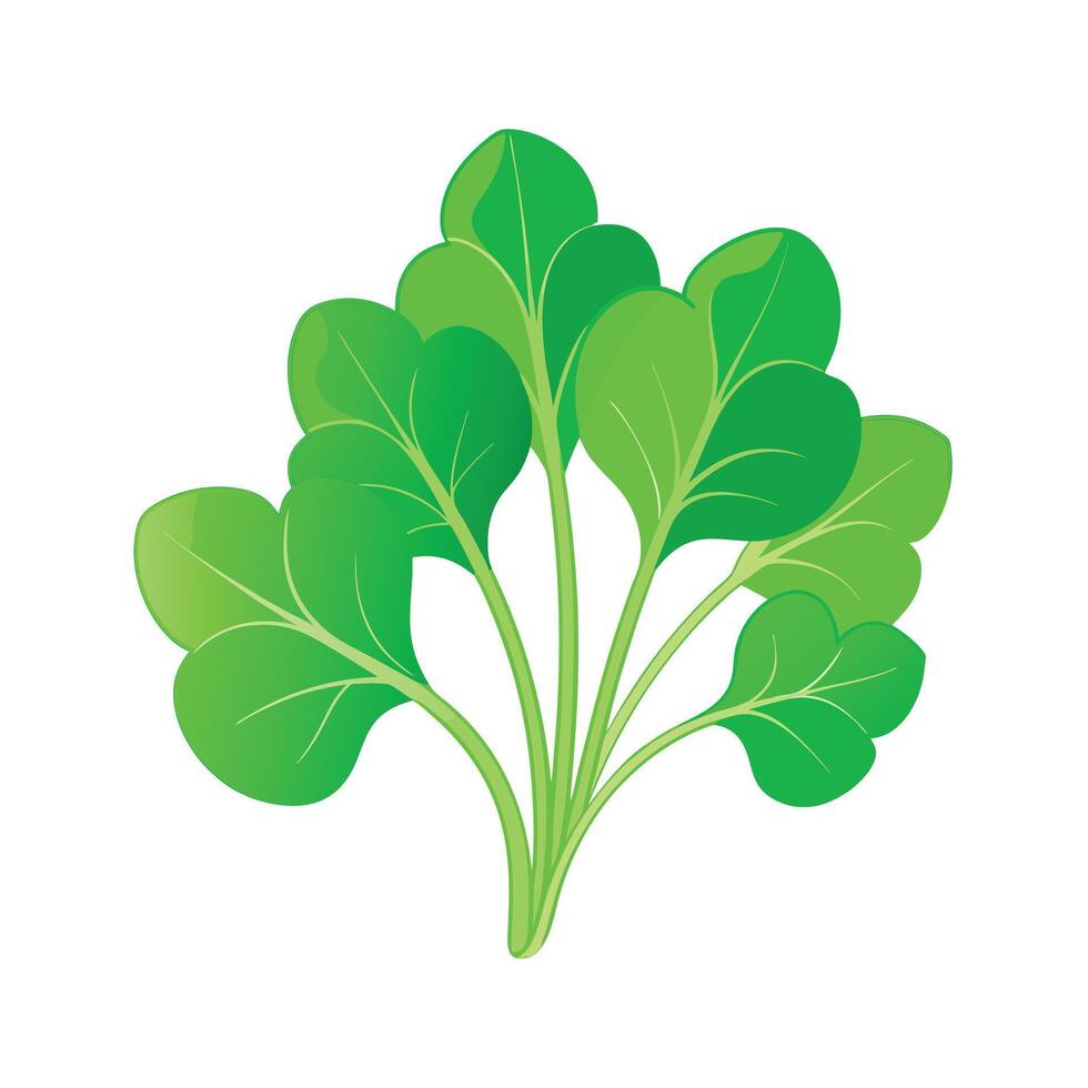 Realistic Beautiful Leaves Illustration vector