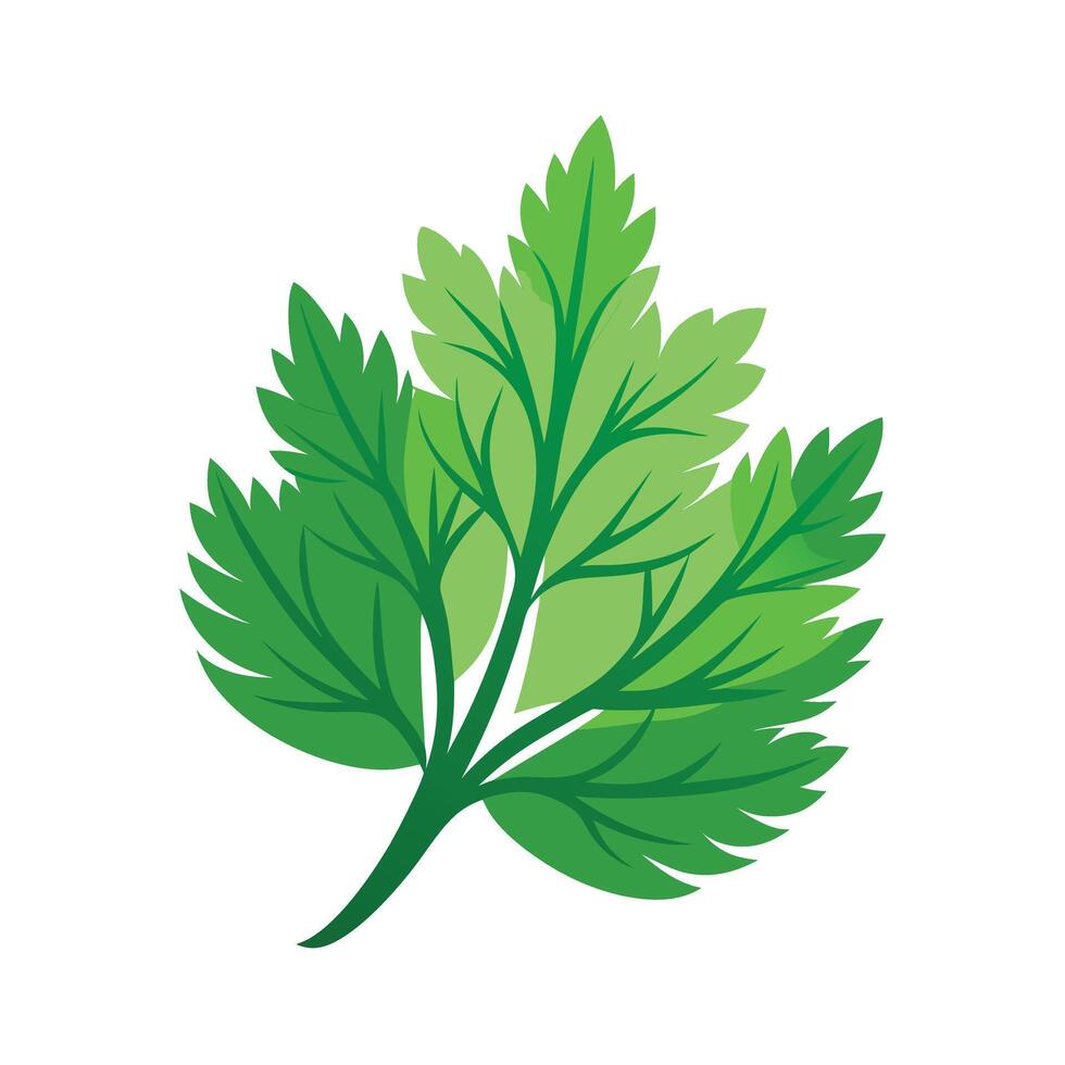 Realistic Beautiful Leaves Illustration vector