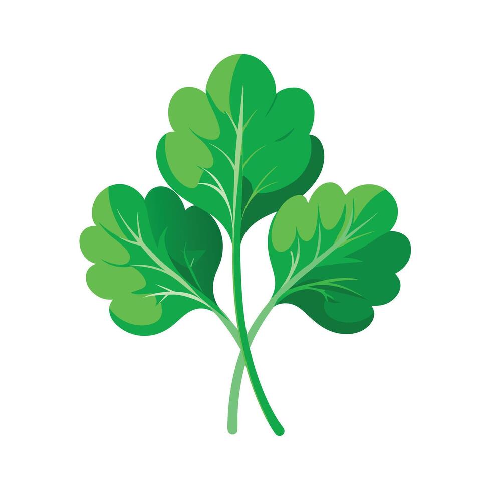 Realistic Beautiful Leaves Illustration vector