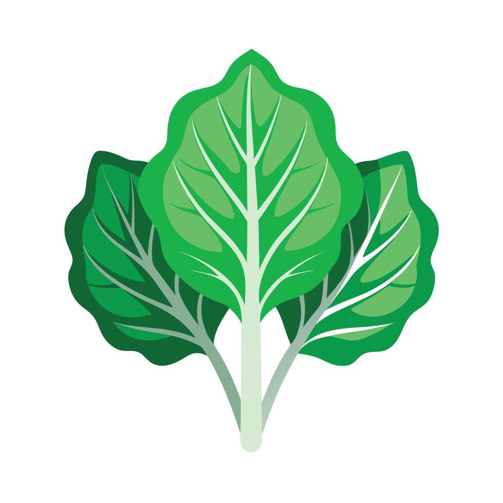 Realistic Beautiful Leaves Illustration vector