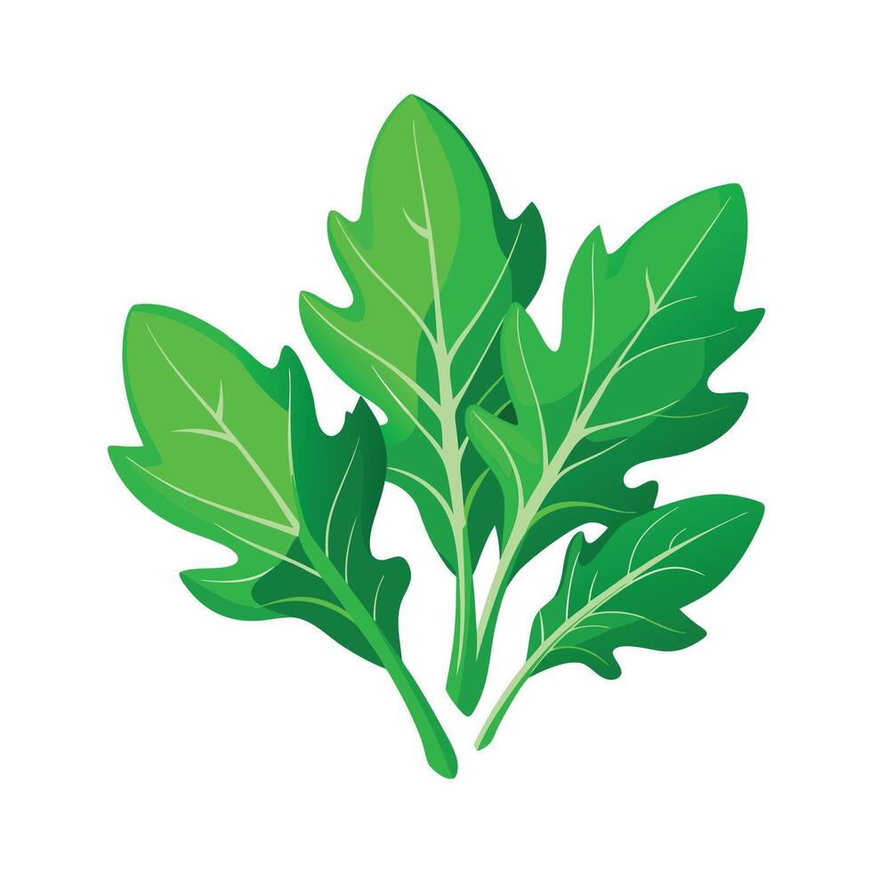 Realistic Beautiful Leaves Illustration vector