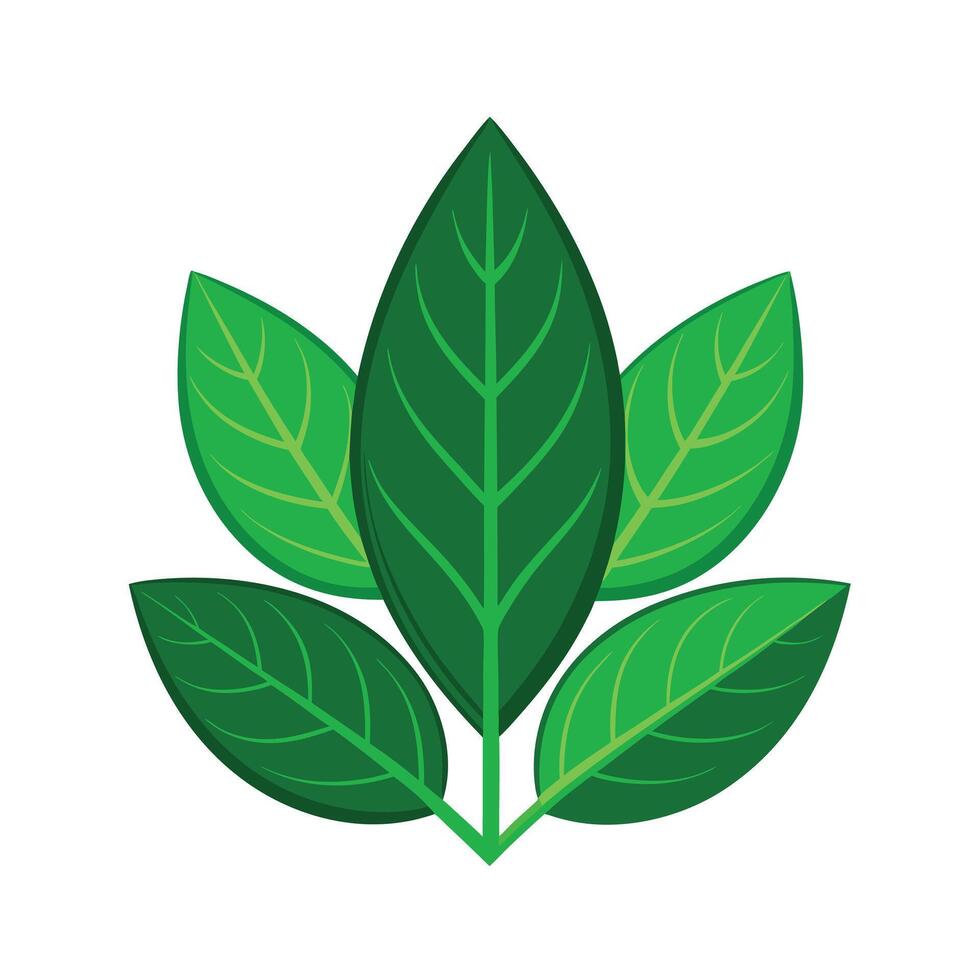 Realistic Beautiful Leaves Illustration vector