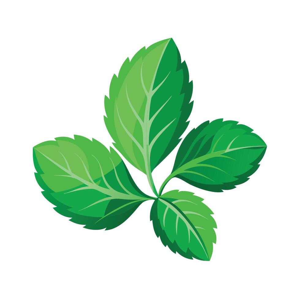 Realistic Beautiful Leaves Illustration vector