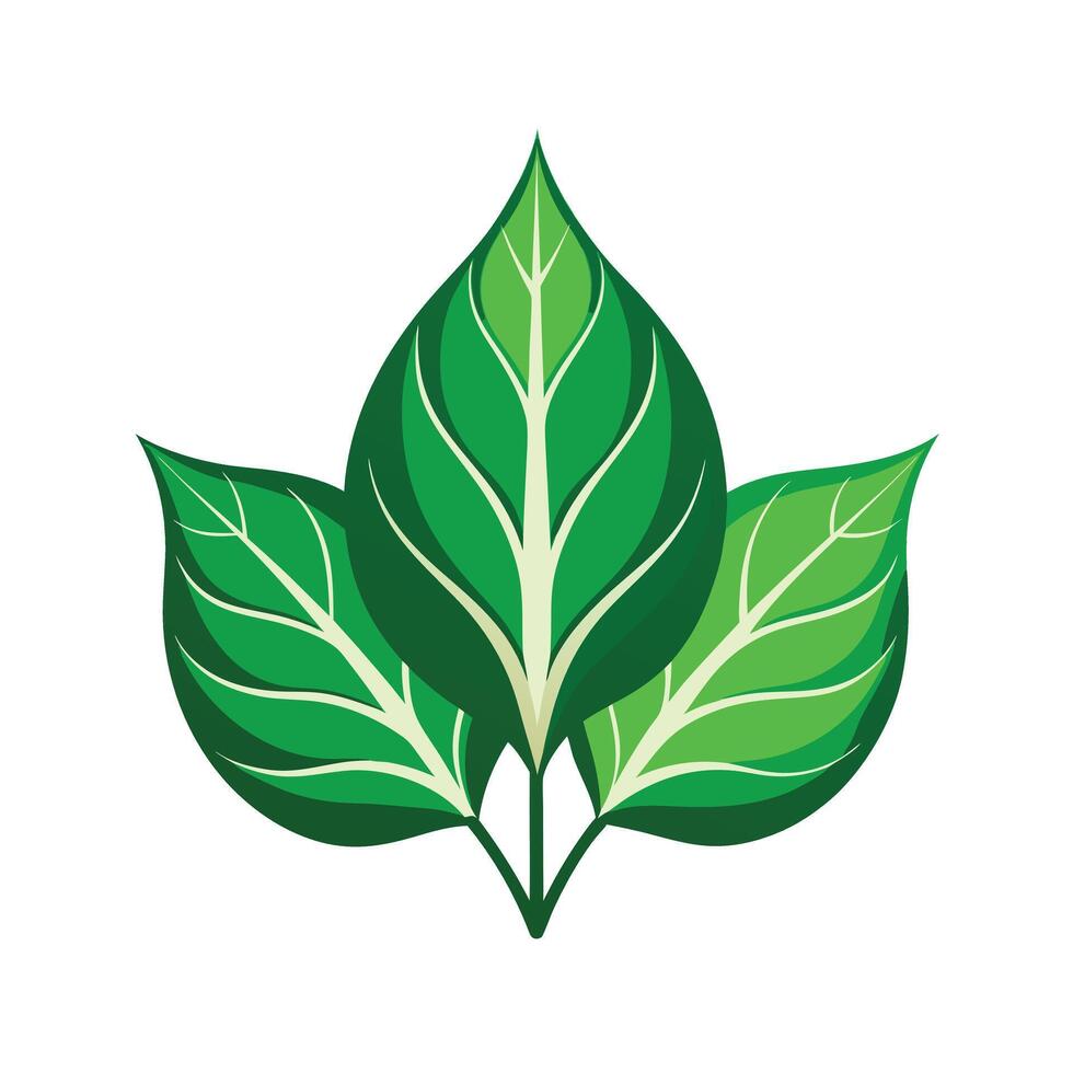 Realistic Beautiful Leaves Illustration vector