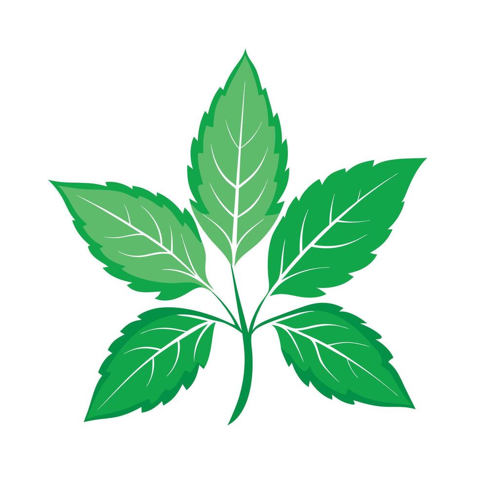 Realistic Beautiful Leaves Illustration vector