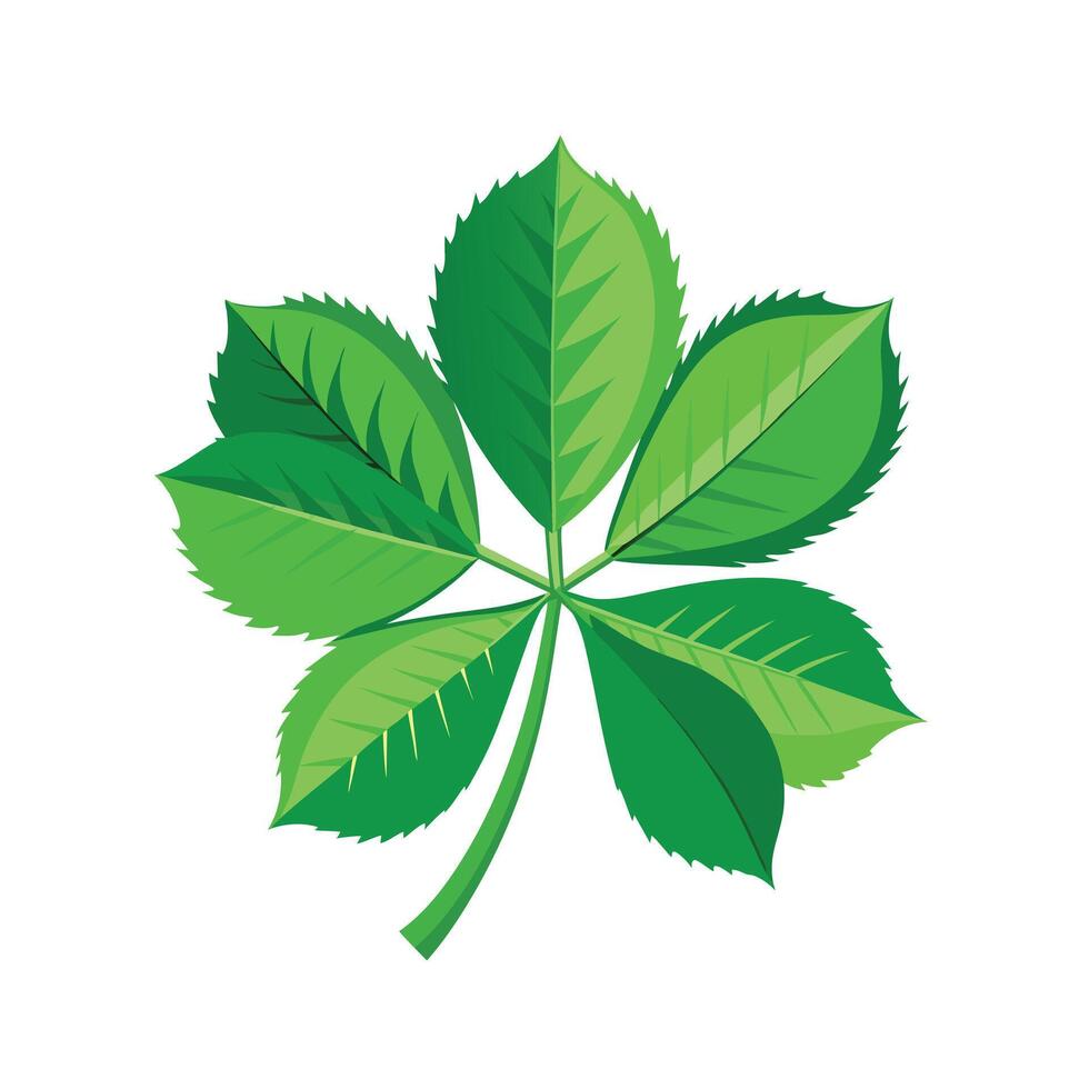 Realistic Beautiful Leaves Illustration vector