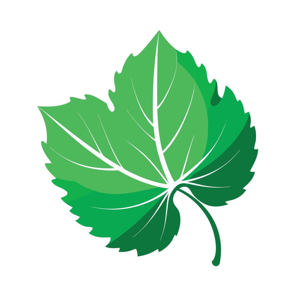 Realistic Beautiful Leaves Illustration vector