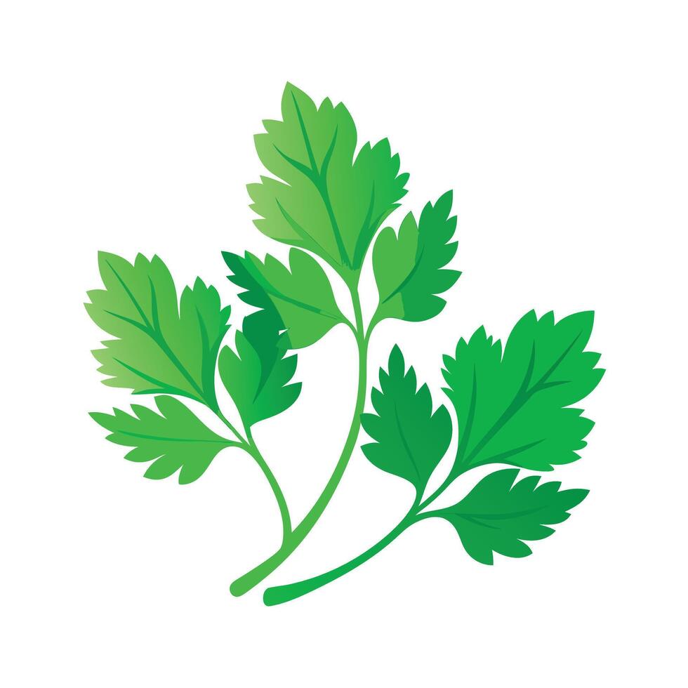 Realistic Beautiful Leaves Illustration vector
