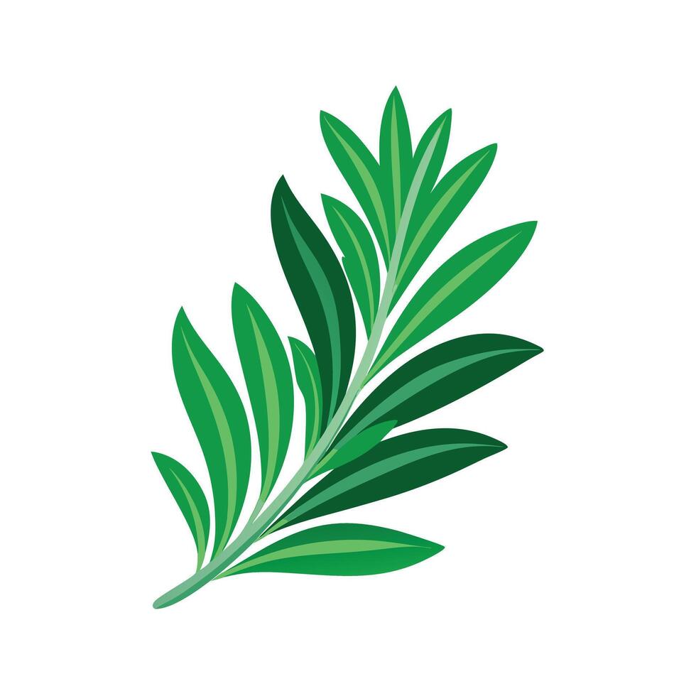 Realistic Beautiful Leaves Illustration vector