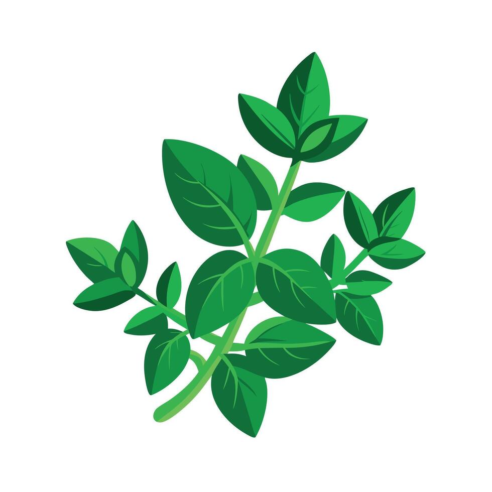 Realistic Beautiful Leaves Illustration vector