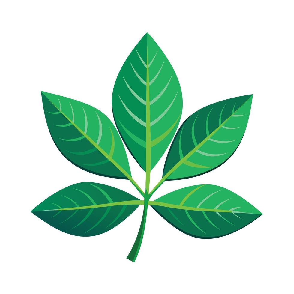 Realistic Beautiful Leaves Illustration vector