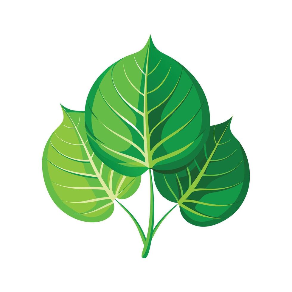 Realistic Beautiful Leaves Illustration vector