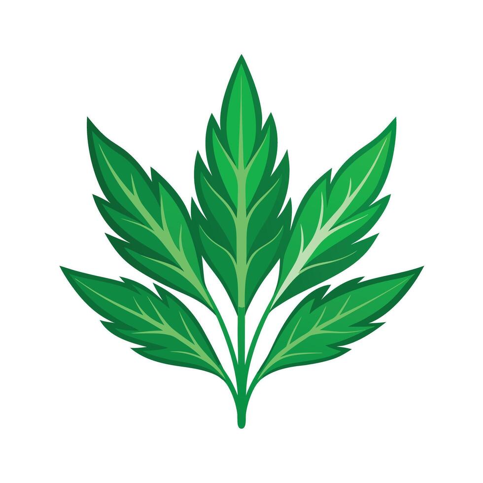 Realistic Beautiful Leaves Illustration vector