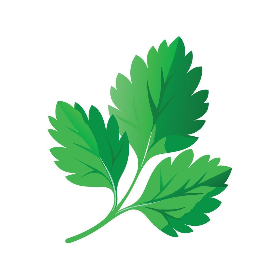 Realistic Beautiful Leaves Illustration vector