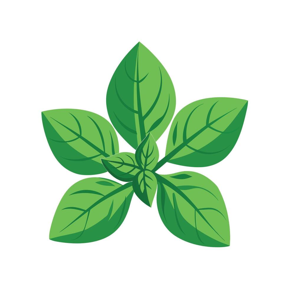 Realistic Beautiful Leaves Illustration vector