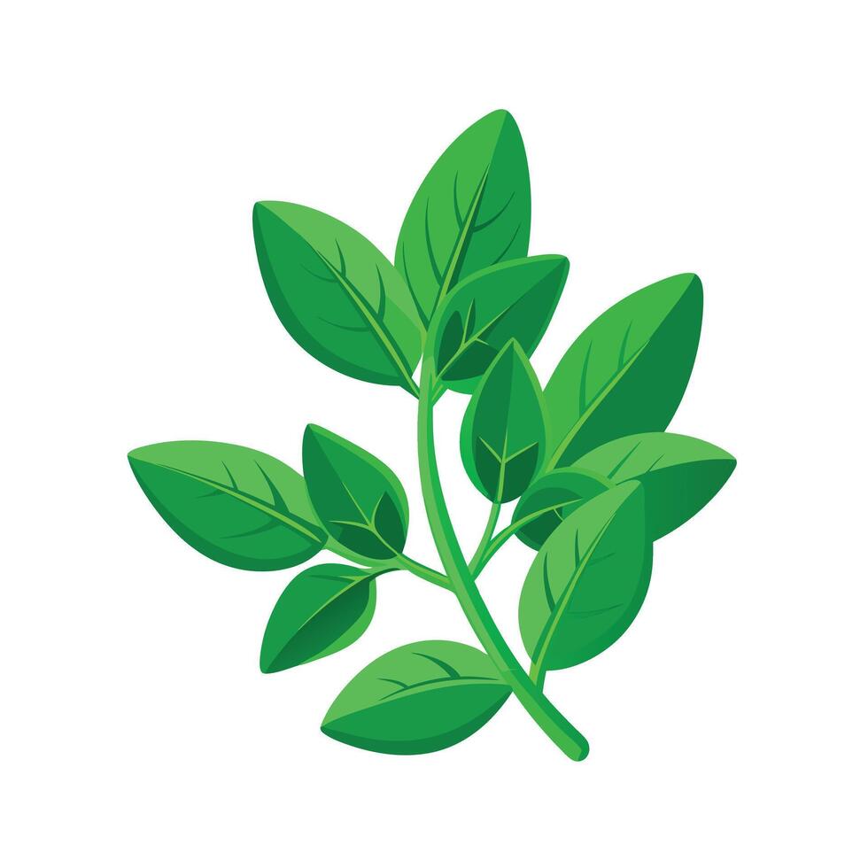 Realistic Beautiful Leaves Illustration vector