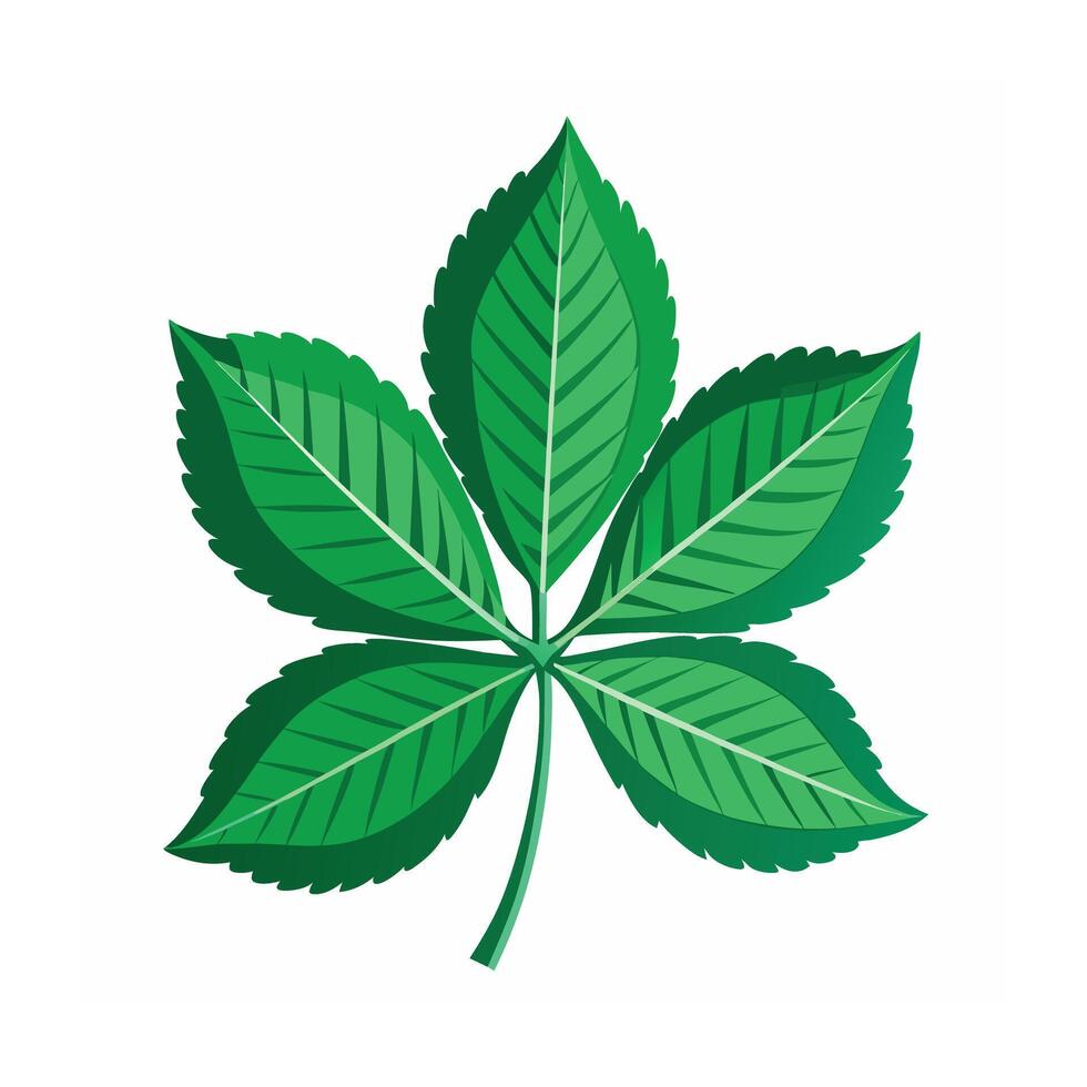 Realistic Beautiful Leaves Illustration vector