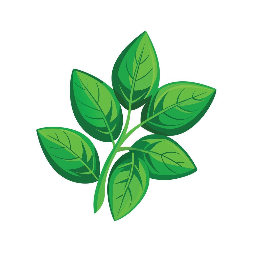Realistic Beautiful Leaves Illustration vector