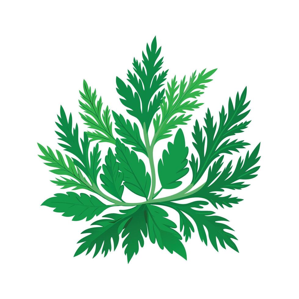 Realistic Beautiful Leaves Illustration vector