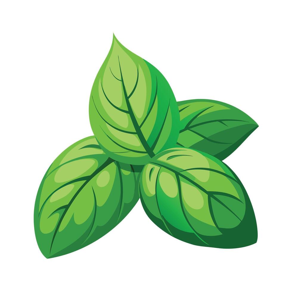 Realistic Beautiful Leaves Illustration vector