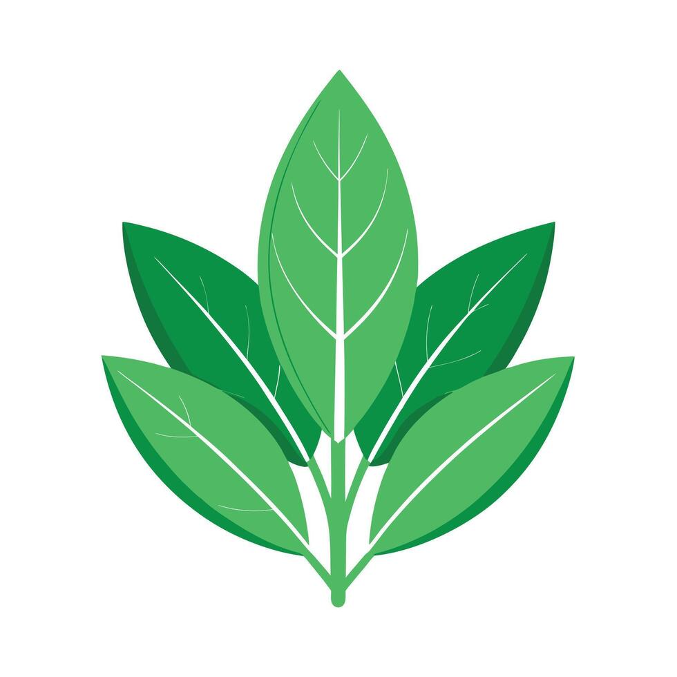 Realistic Beautiful Leaves Illustration vector