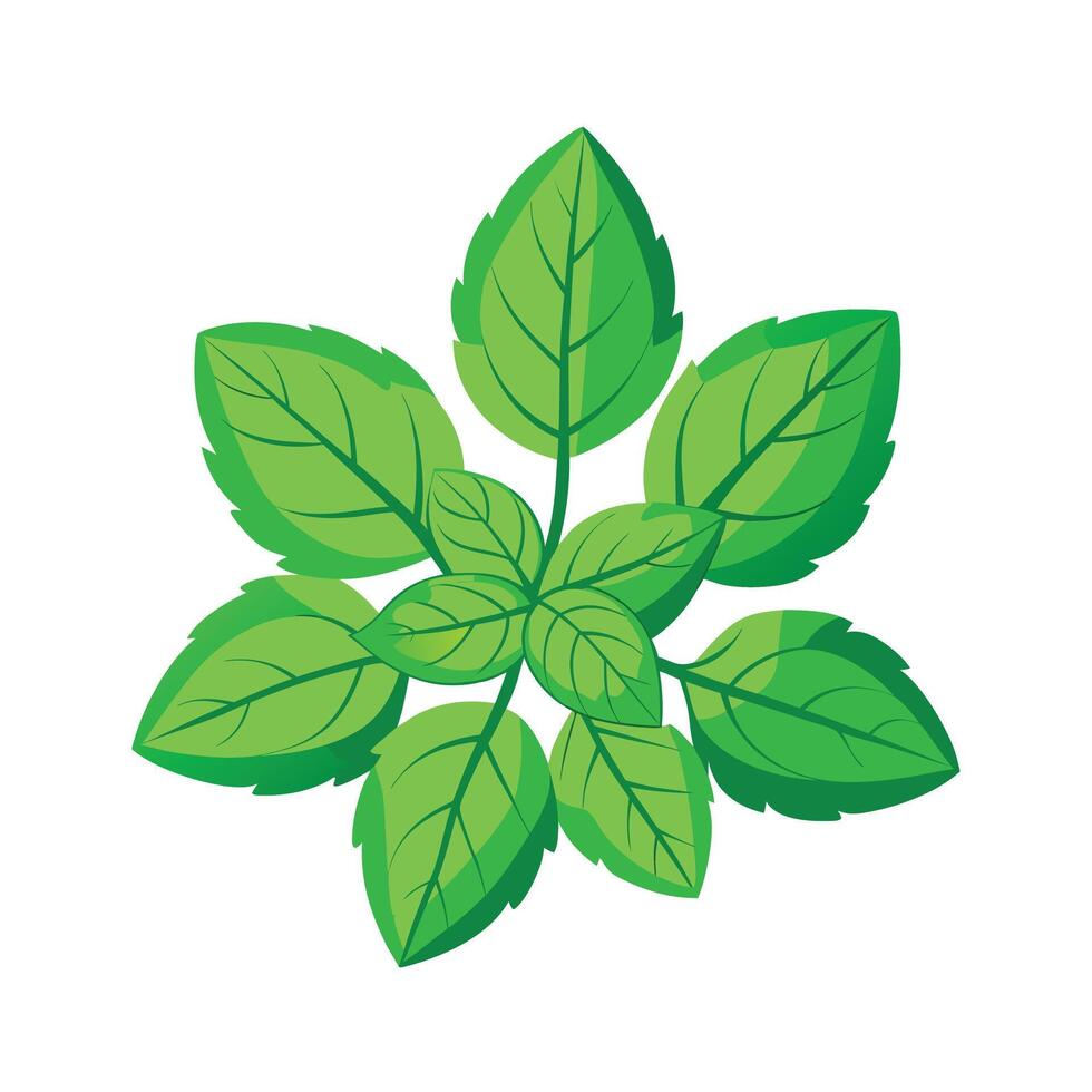 Realistic Beautiful Leaves Illustration vector