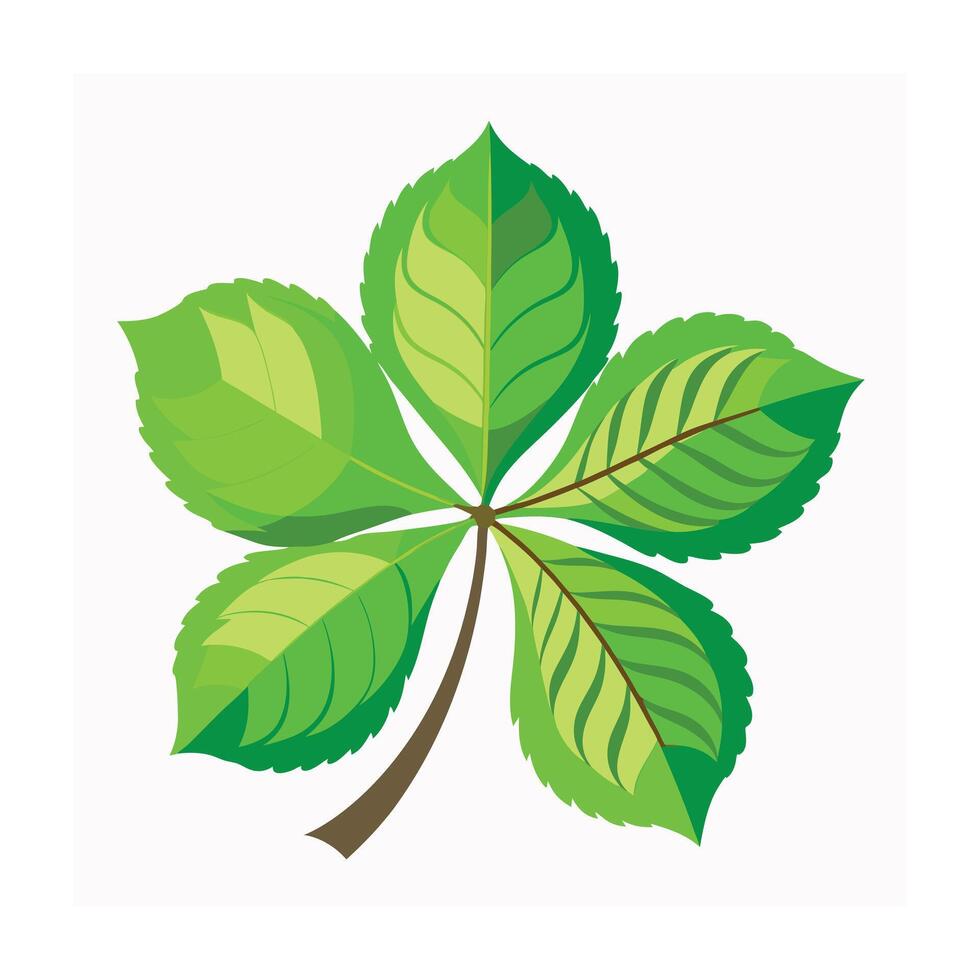 Realistic Beautiful Leaves Illustration vector