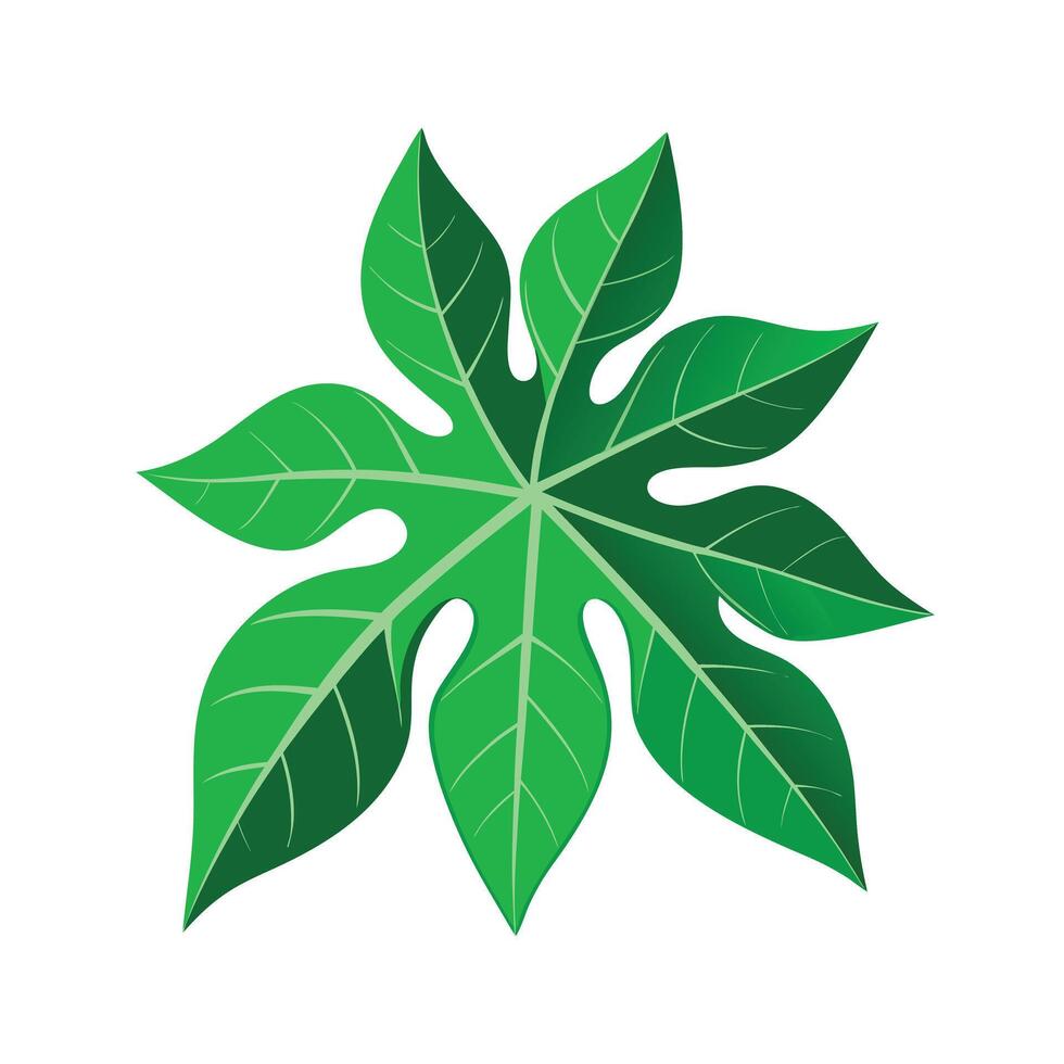 Realistic Beautiful Leaves Illustration vector