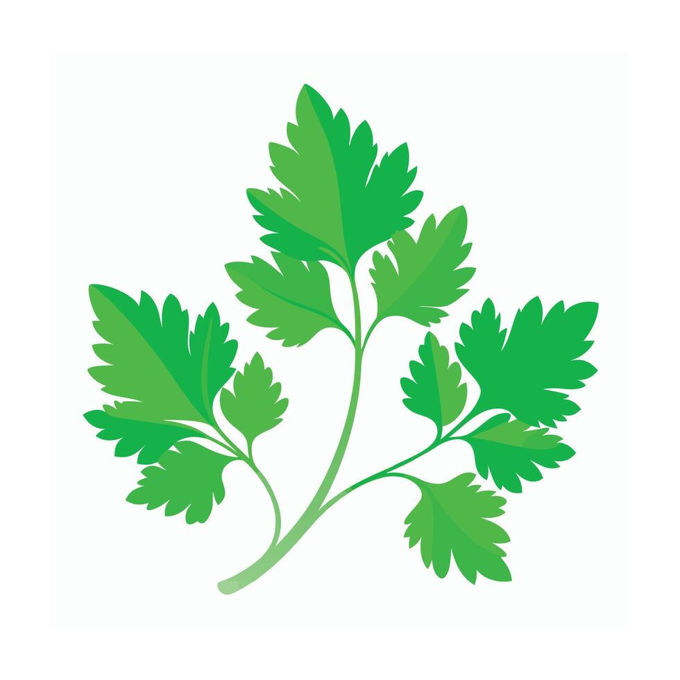 Realistic Beautiful Leaves Illustration vector