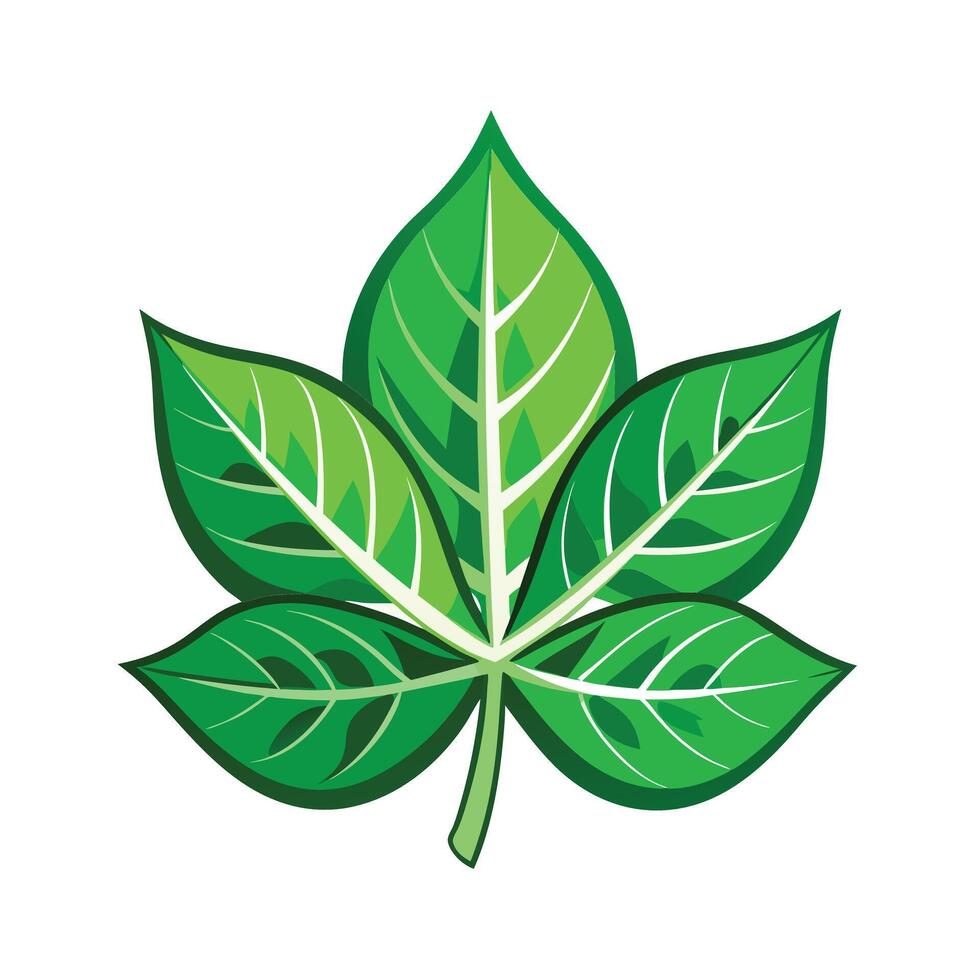 Realistic Beautiful Leaves Illustration vector