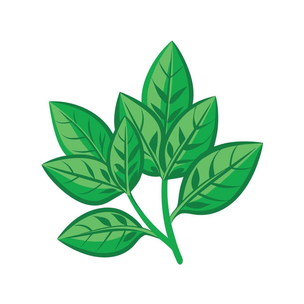 Realistic Beautiful Leaves Illustration vector