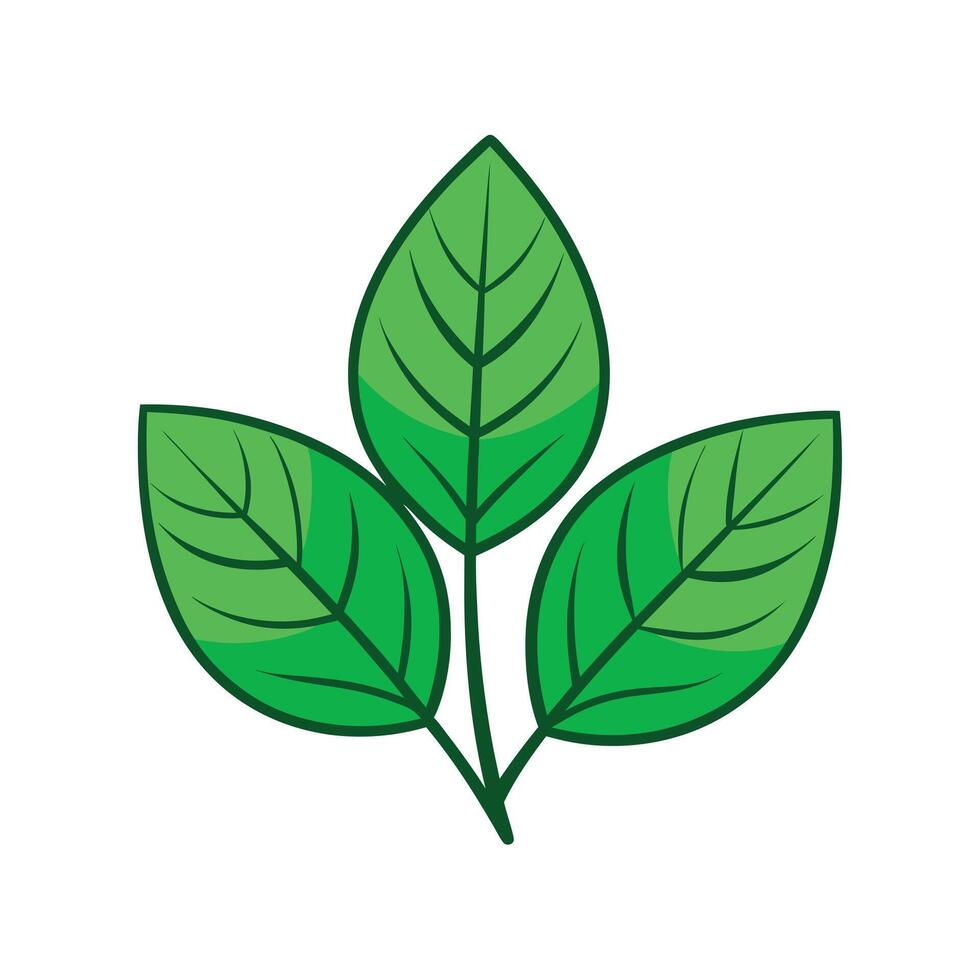 Realistic Beautiful Leaves Illustration vector