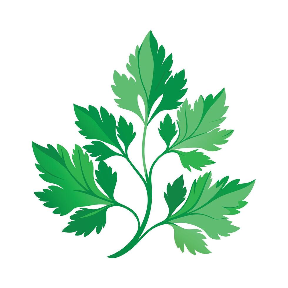 Realistic Beautiful Leaves Illustration vector