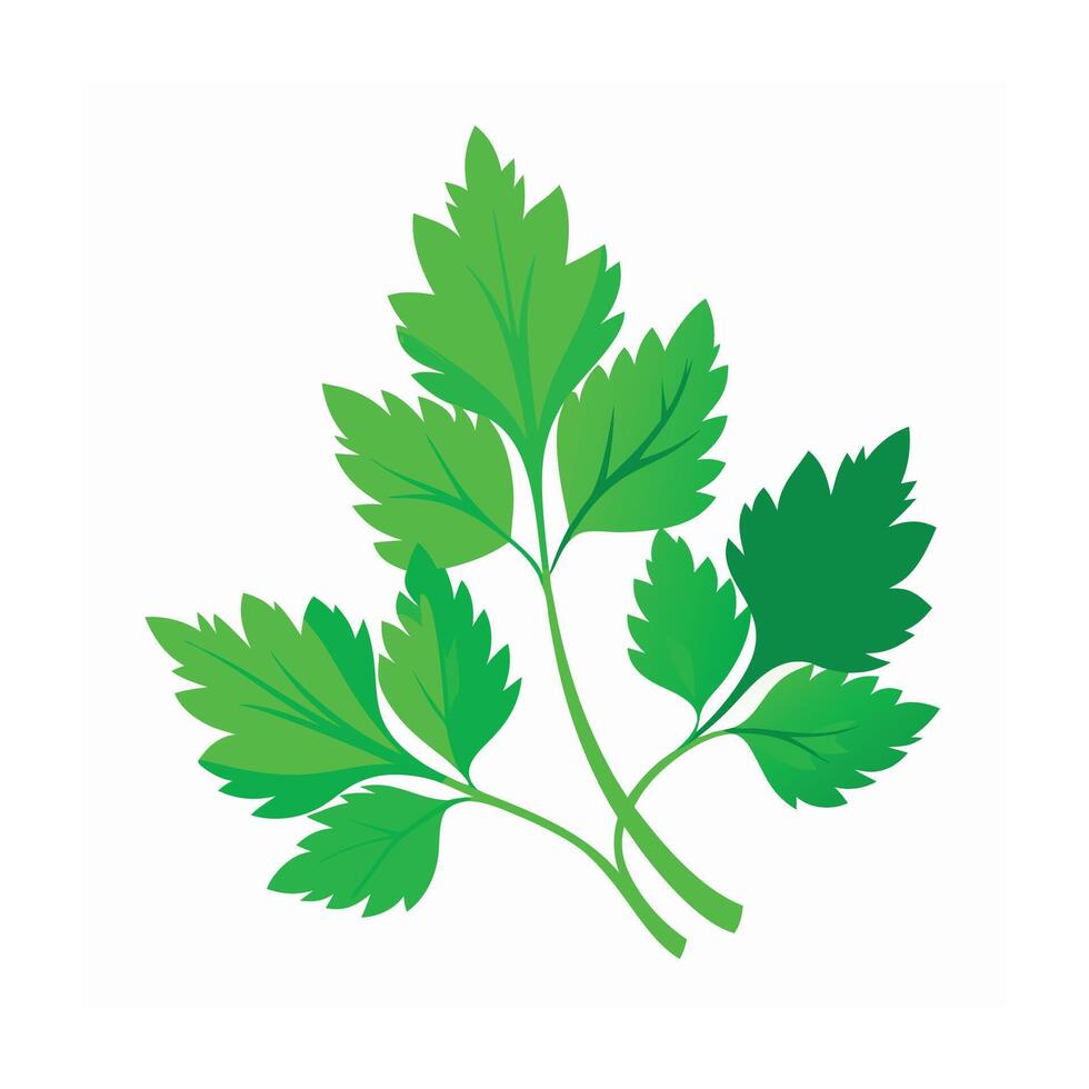 Realistic Beautiful Leaves Illustration vector