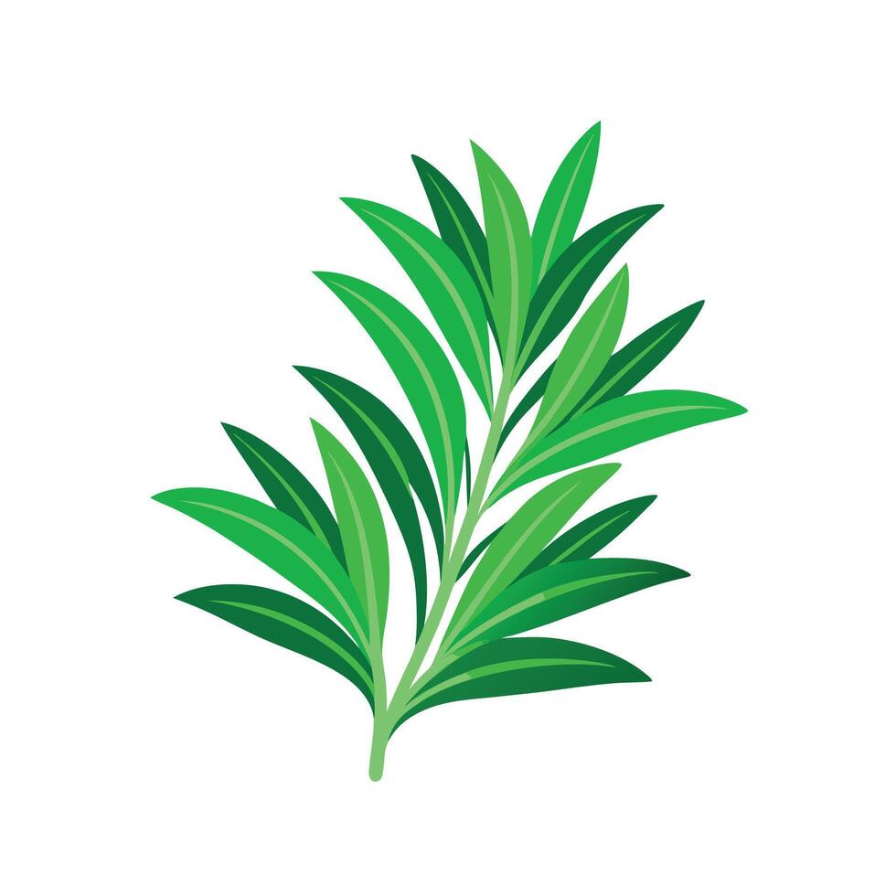 Realistic Beautiful Leaves Illustration vector