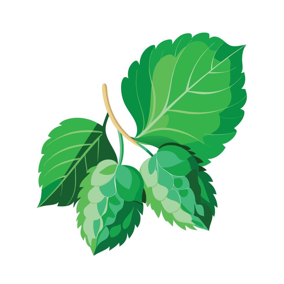 Realistic Beautiful Leaves Illustration vector