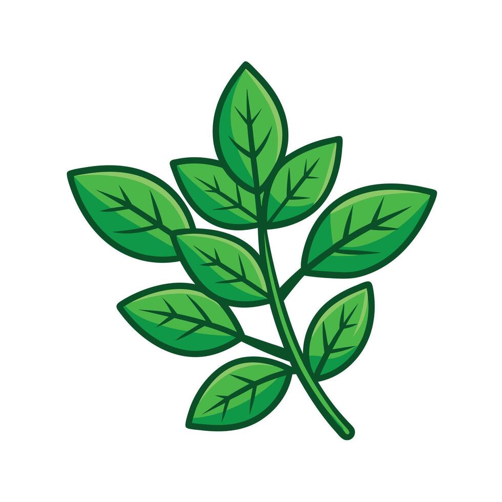 Realistic Beautiful Leaves Illustration vector