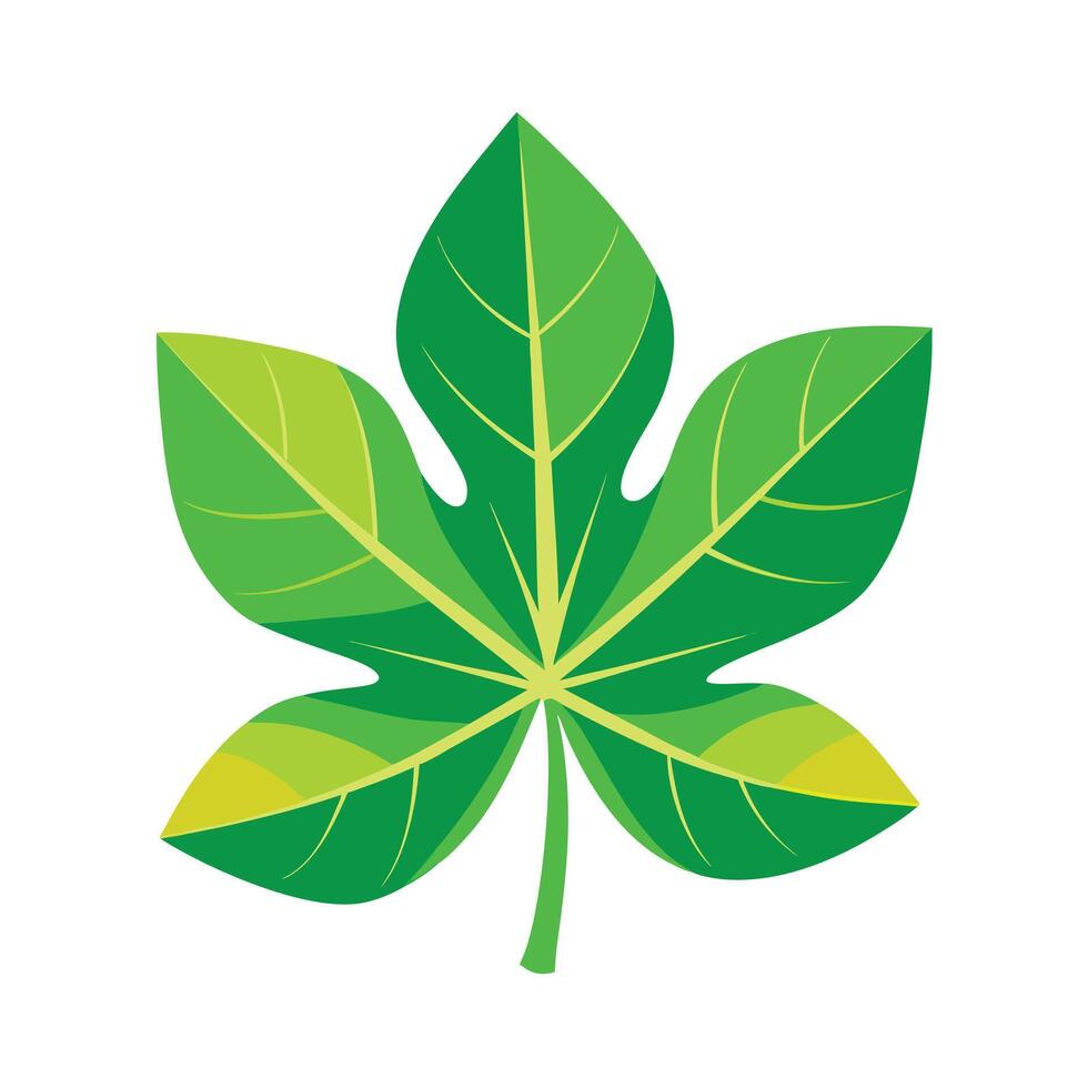 Realistic Beautiful Leaves Illustration vector
