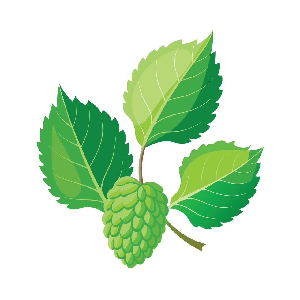 Realistic Beautiful Leaves Illustration vector
