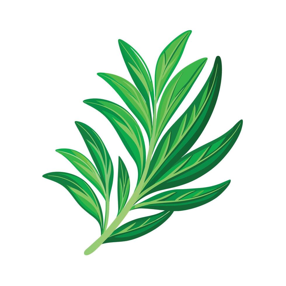 Realistic Beautiful Leaves Illustration vector
