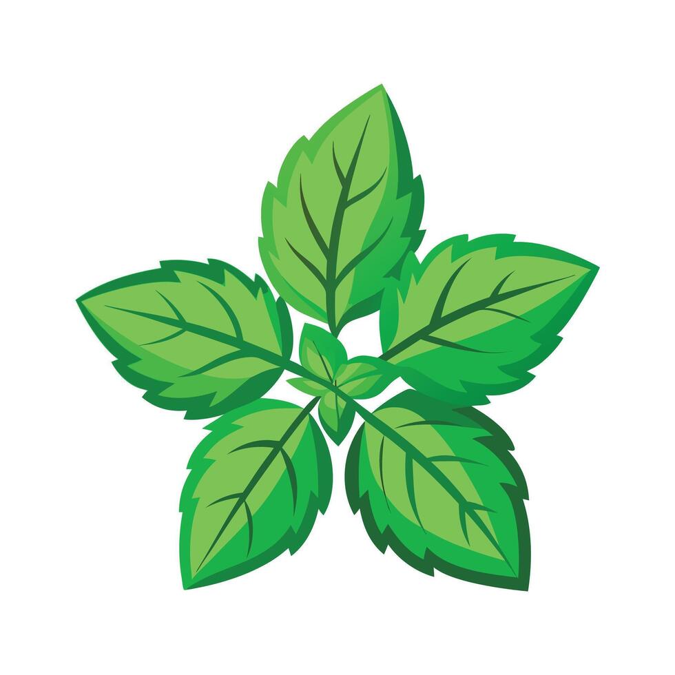Realistic Beautiful Leaves Illustration vector