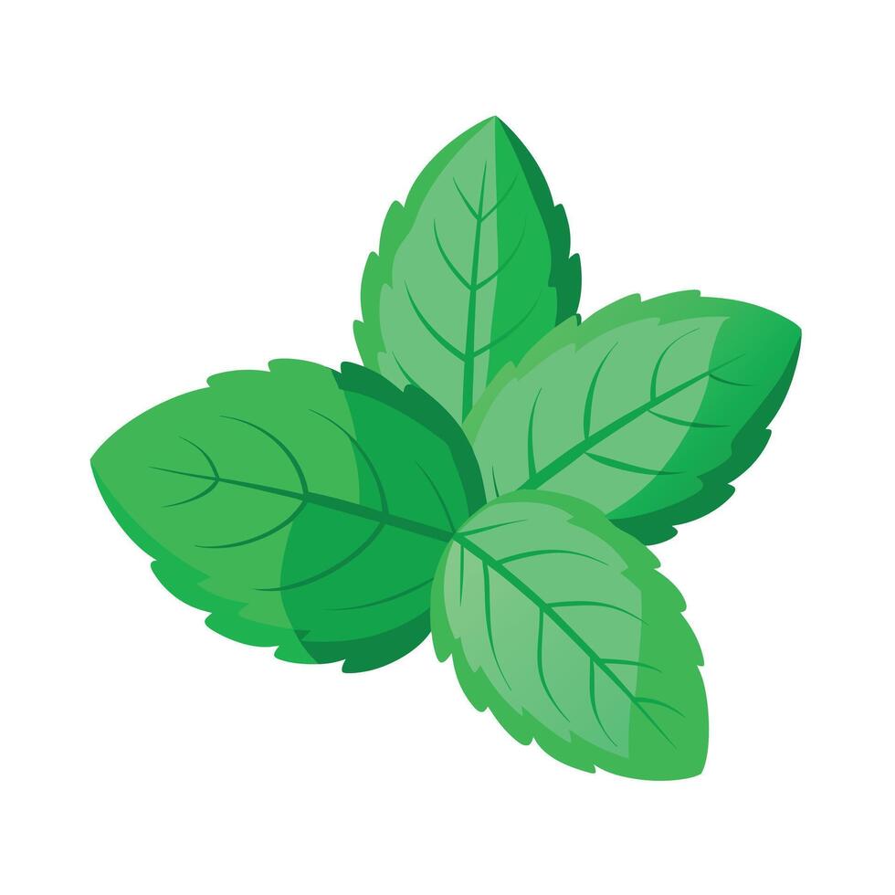 Realistic Beautiful Leaves Illustration vector
