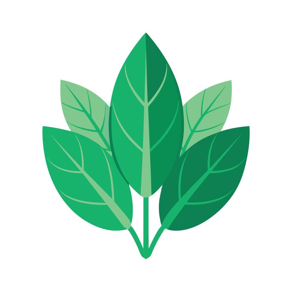 Realistic Beautiful Leaves Illustration vector