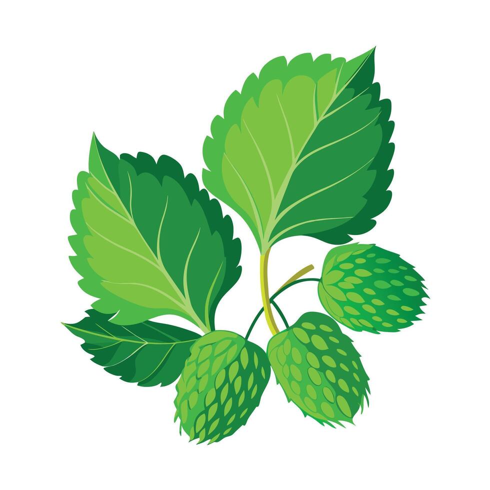 Realistic Beautiful Leaves Illustration vector