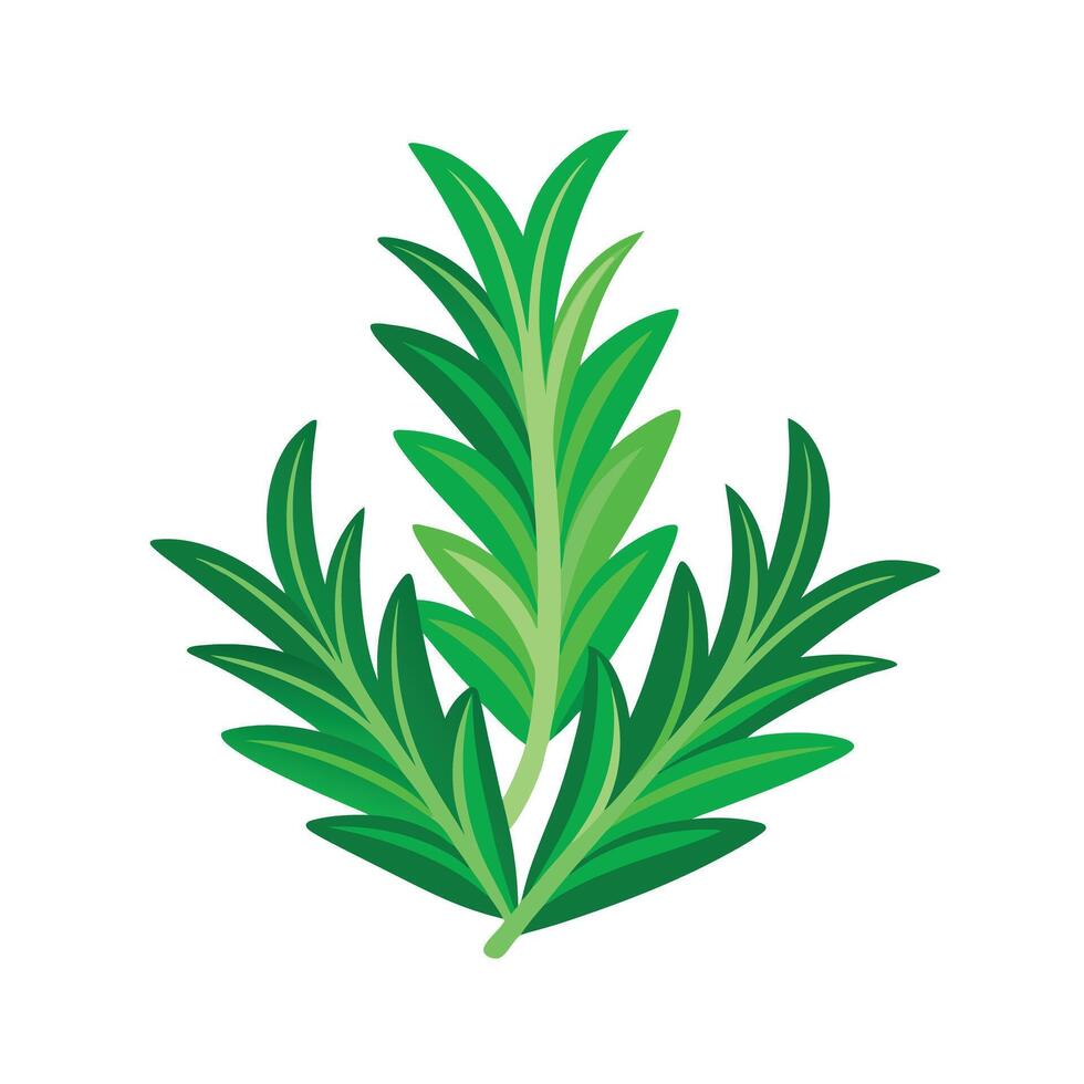 Realistic Beautiful Leaves Illustration vector